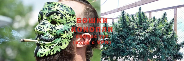 мяу мяу мука Краснотурьинск