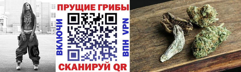 Купить закладки  Соликамск  Псилоцибиновые грибы мухоморы 